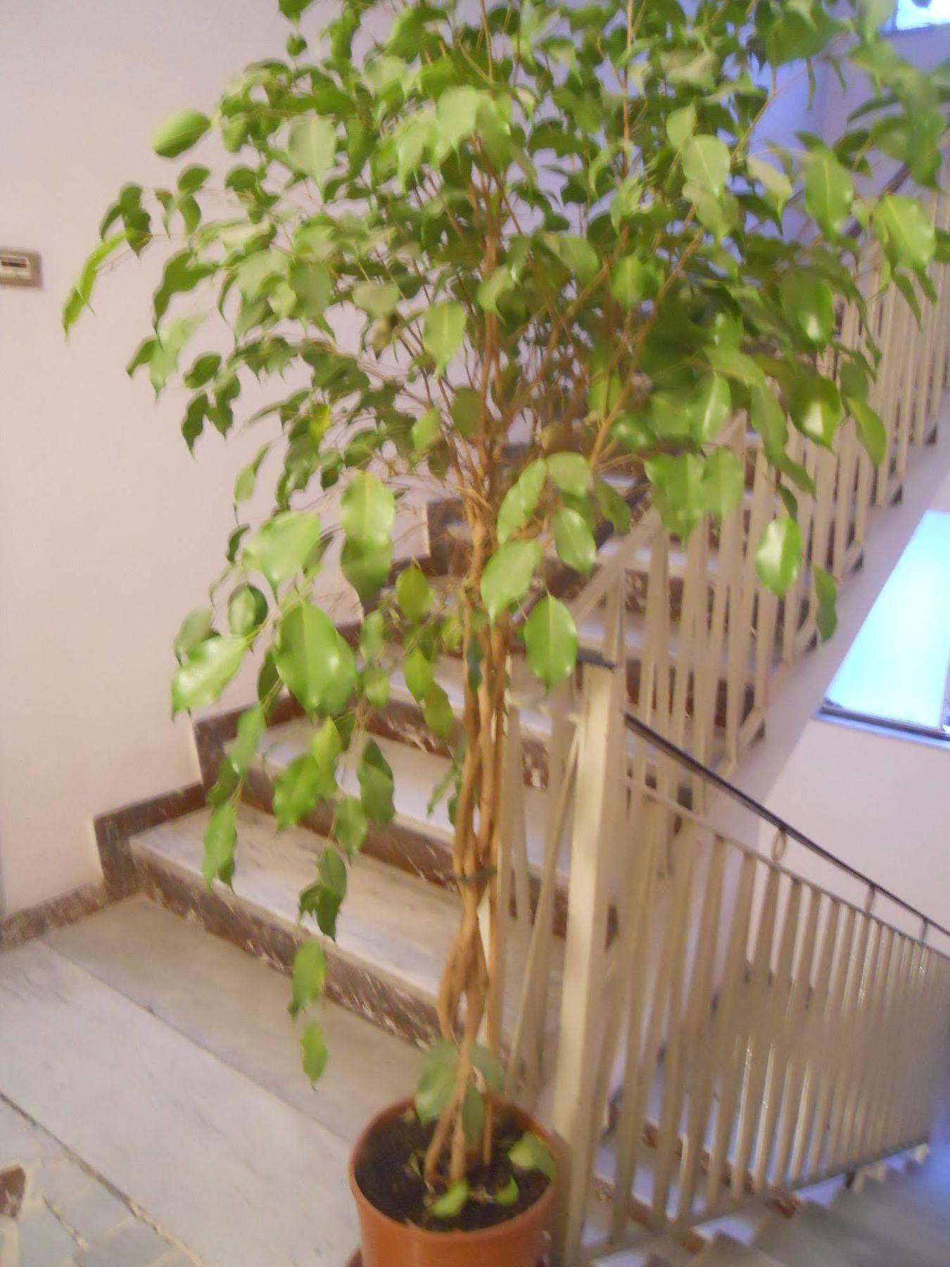 Catania Crossing B&B - Rooms & Comforts Экстерьер фото